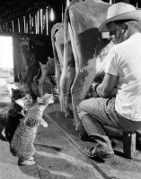 Feedin time.jpg