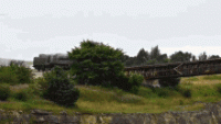 1639785298570.gif