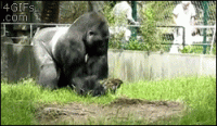 1640305247209.gif
