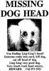 missing_dog_head.jpg