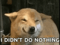 1621566437842.gif