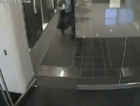 giphy (7).gif