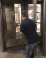 tenor (4).gif