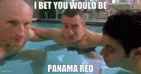 C5031ACF-1510-4BC5-92C8-B28150B55B2D.gif