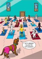Yoga dogs.jpg