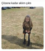 ce9e273a03e0d7655bbe14f25798d744.jpg