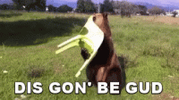 1642644430480.gif