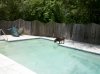 moussepool.jpg