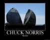 chuck1.jpg