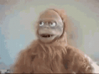 1644383266852.gif