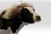 1644872299708.gif