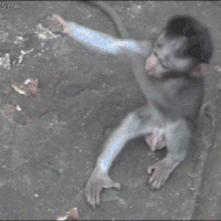 giphy (9).gif