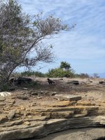 EBA1306C-BA25-4D44-896B-3DBDB9A23EC1.jpeg EBA1306C-BA25-4D44-896B-3DBDB9A23EC1.jpeg