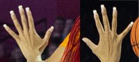 hands.jpg