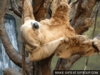 LinearVacantAss-max-1mb.gif