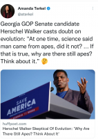 1647380506720.png