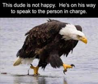1647383735846.png