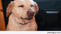 mrw-i-smelled-my-fingers-after-a-good-ball-scratch-97838.gif