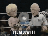 I'll Allow It.gif