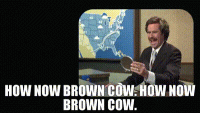 D7369148-CC0F-4F4A-A90A-C804881EF56D.gif