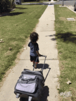1648311645247.gif