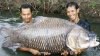 enormous_big_fish.jpg