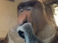 20220402_101505.gif