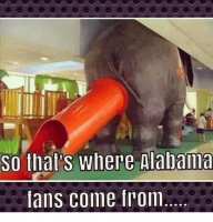 so-thats-where-alabama-fans-come-from-10299811.png