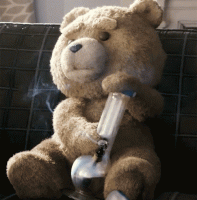 tumblr_m205l6kFMi1qialo6o1_500.gif