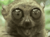 1651542091034.gif