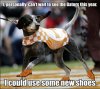 smokey.jpg