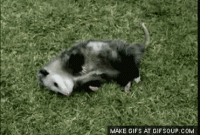 20220127_145453.gif