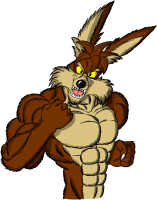 SeekPng.com_wile-e-coyote-png_3138665.png