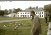 1652985564357.gif