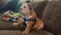 1654043634755.gif