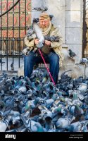 old-man-who-appears-to-be-homeless-or-a-tramp-feeds-pigeons-outside-KMA9X4.jpg