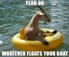 sliced-tea-wtfriday-6-b04bac27-sz500x415-animate.jpg