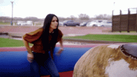 Bullgif.gif