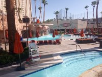 IMG_20220628_084945.jpg