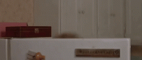 1656942107395.gif