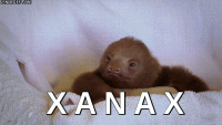 3Q3n.gif