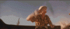Fear-and-Loathing-Fly-Swatter_1.gif