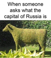1658248299573.png