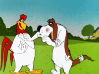 Best of Foghorn Leghorn on Make a GIF.gif