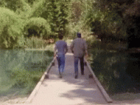 push-shove.gif