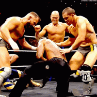 1659311513863.gif