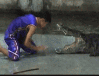 C241EEEB-7474-4BF1-A7E0-C582C5DA676D.gif