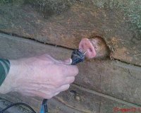 pig-nose-plug.jpg