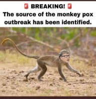 source-of-monkeypox-outbreak-bill-gates.jpg