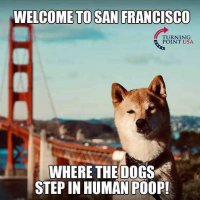 welcome-to-san-francisco-where-dogs-step-in-human-poop.jpg